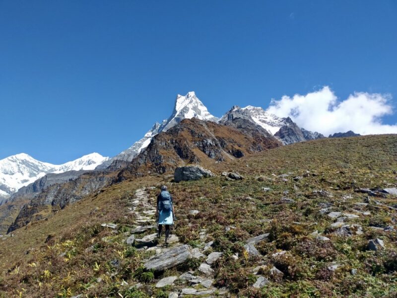 Machhapuchhre got closer and closer with every step. Mardi Himal trek - day 5.