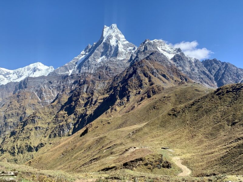 Machhapuchhre is known as the Fishtail due to its distinctive shape. Mardi Himal trek- day 5.