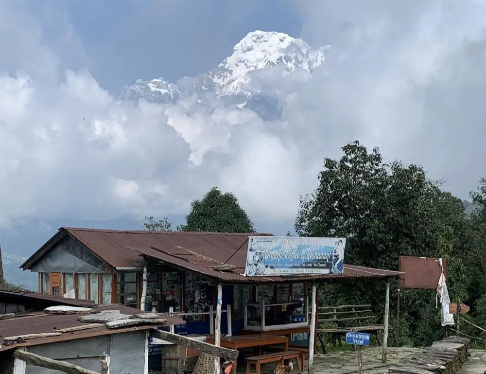 Przerwa na herbatkę z takim widokiem - Pitam Deurali (2,142m), Mardi Himal trek.