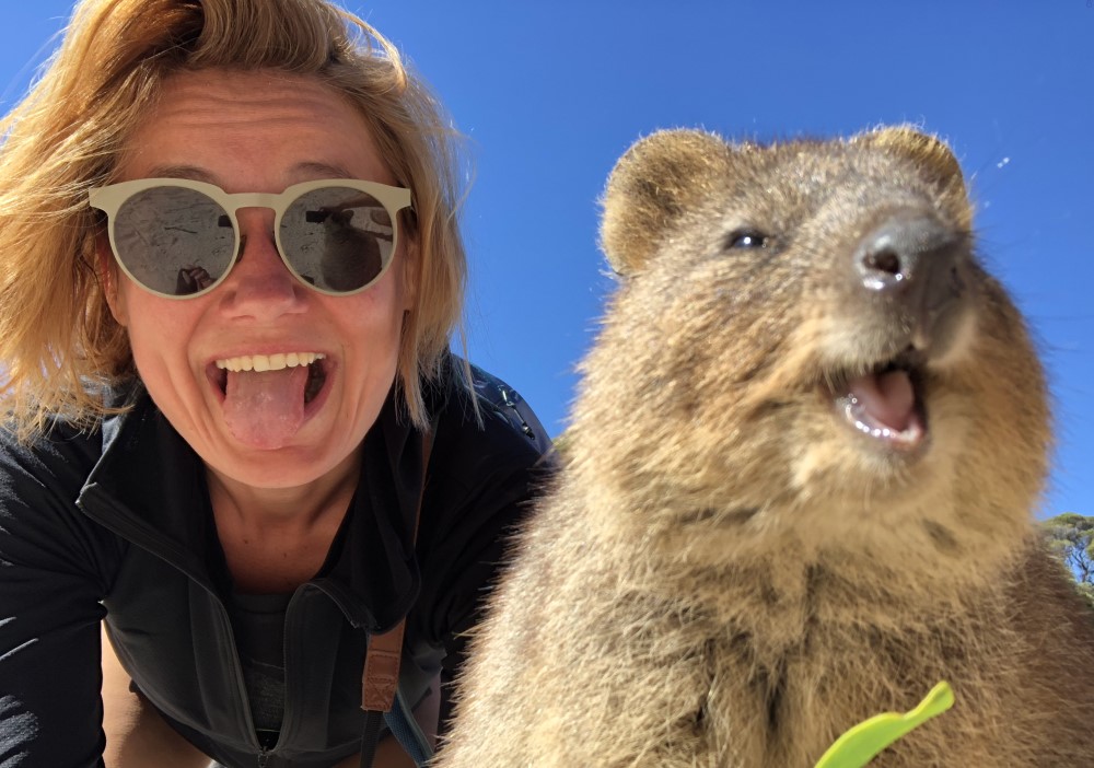australia-quokka-smile