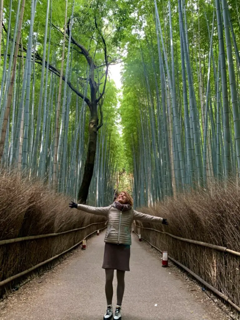 Bambusowy las w Arashiyamie.