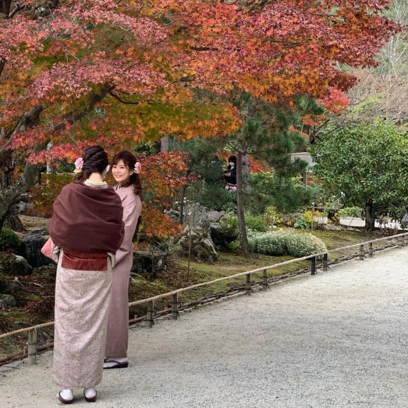 Japanese ladies in kimono - autumn in Kyoto.