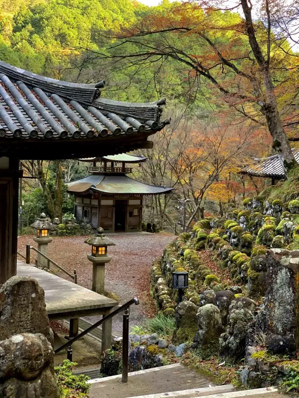 reasons to visit kyoto japan