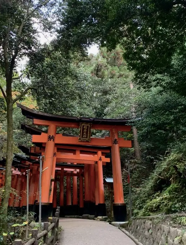 Red torii in a forest - Kyoto