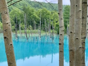 Read more about the article Hokkaido Latem – Najciekawsze Miejsca i 4-Dniowy Plan Zwiedzania