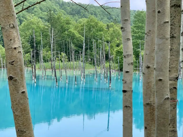 Read more about the article Hokkaido In Summer – Things To Do & 4-Day Itinerary