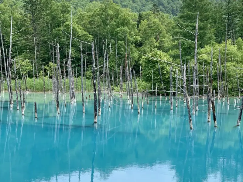Hokkaido in summer - blue pond