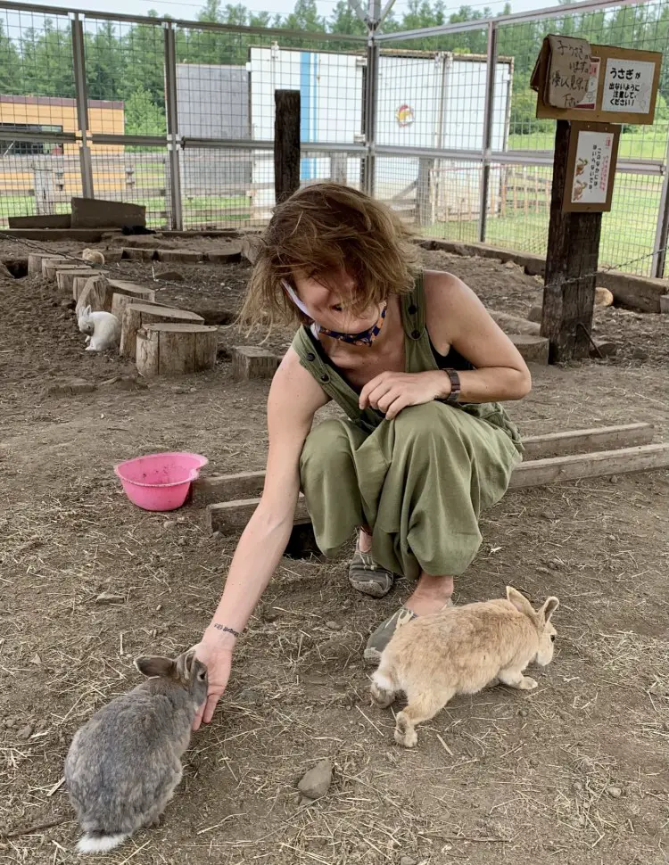Hoshinitenotodokuoka campsite - playing with rabbits