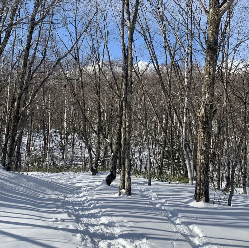 Independent snowshoeing in Japan - Betiful World