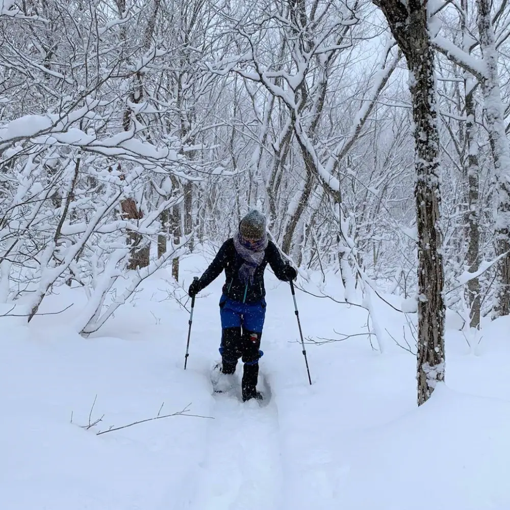 Independent snowshoeing in Japan - practical tips