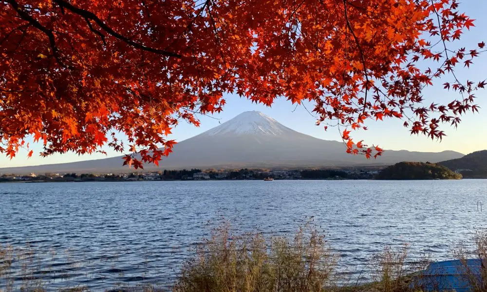 Góra Fuji i Jezioro Kawaguchi jesienią