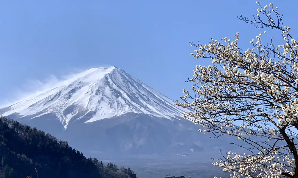 Góra Fuji i Jezioro Kawaguchi wiosną