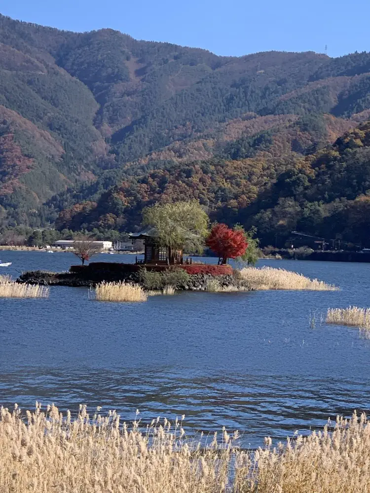 Lake Kawaguchi little island