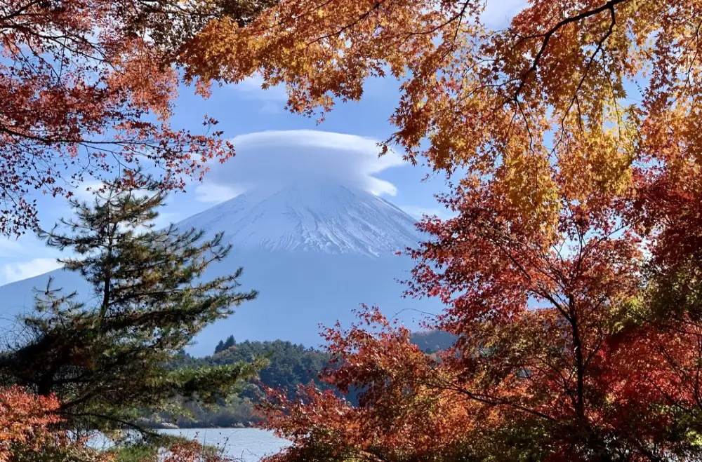 Maple Tunnel - the best view of Mount Fuji - Kawaguchi in 2 days