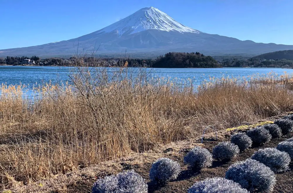 Oishi Park - the best view of Mount Fuji - Kawaguchi in 2 days