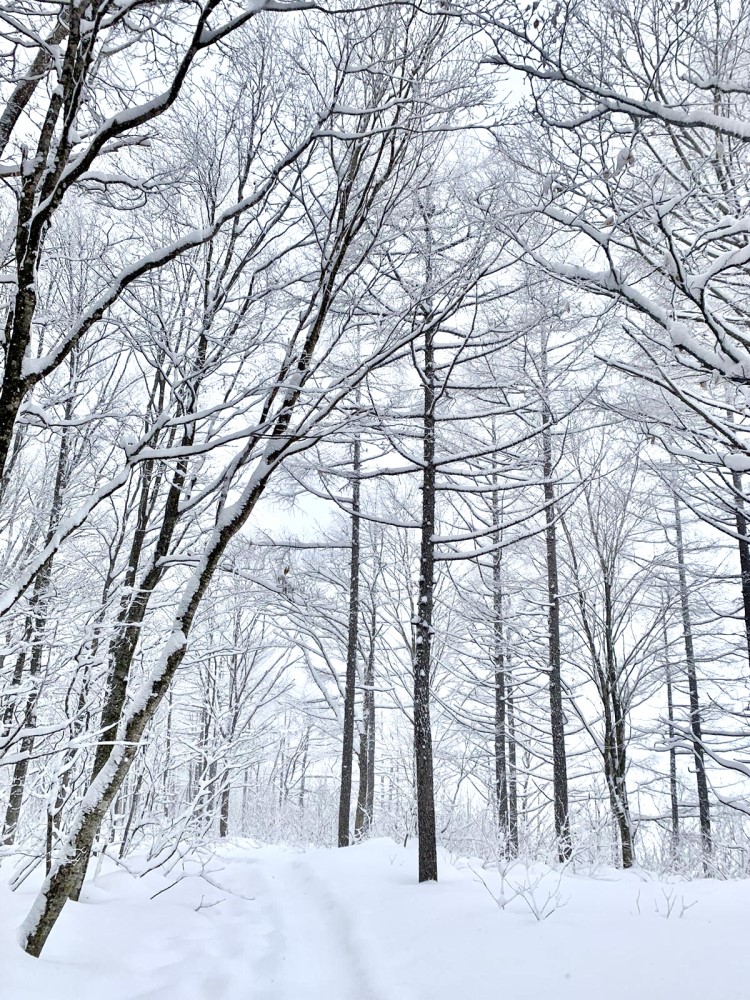 Trasa na rakiety śnieżne - Góra Iwatake