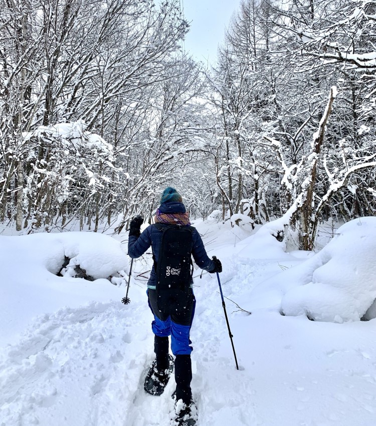 Snowshoeing in Hakuba Valley