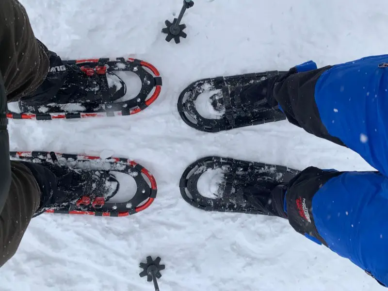 Independent snowshoeing in Japan-Snowshoes Betiful World