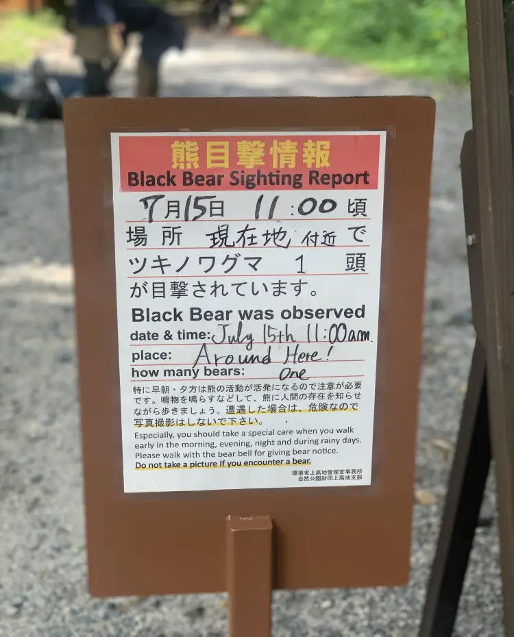 Bear sighting report - hiking in Japan