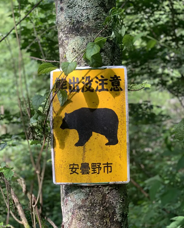 Bear warning - hiking in Japan