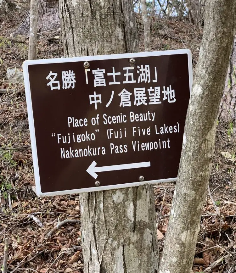 Nakanokura Pass viewpoint trail