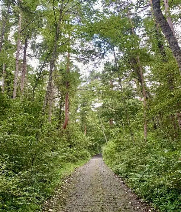 Trail to Umagaeshi - Yoshida Trail