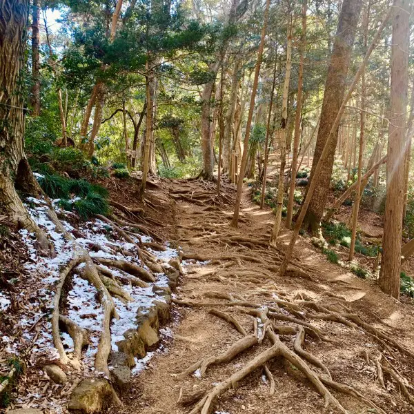 Day trips from Tokyo - Mount Takao trail