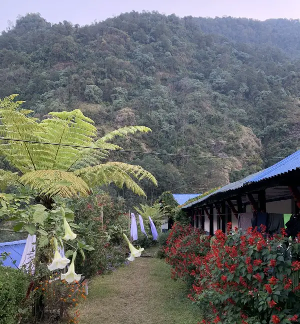 Hotel Himalayan Front garden Landruk