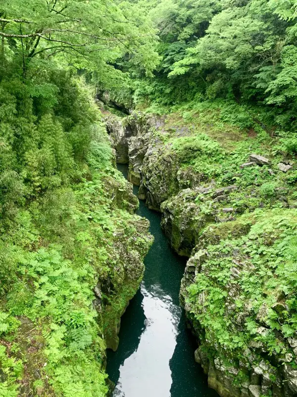 Takachiho Gorge greenery
