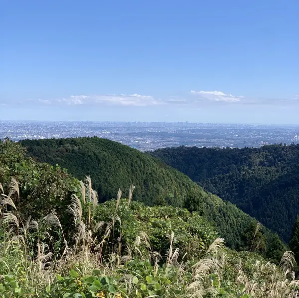 Mount Takao to Mount Jinba hike - Tokyo bay views