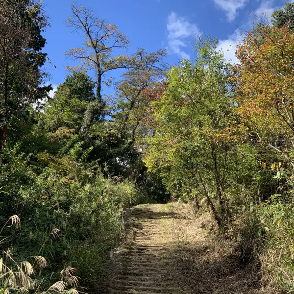 Mount Takao to Mount Jinba hike - easy hike from Tokyo path