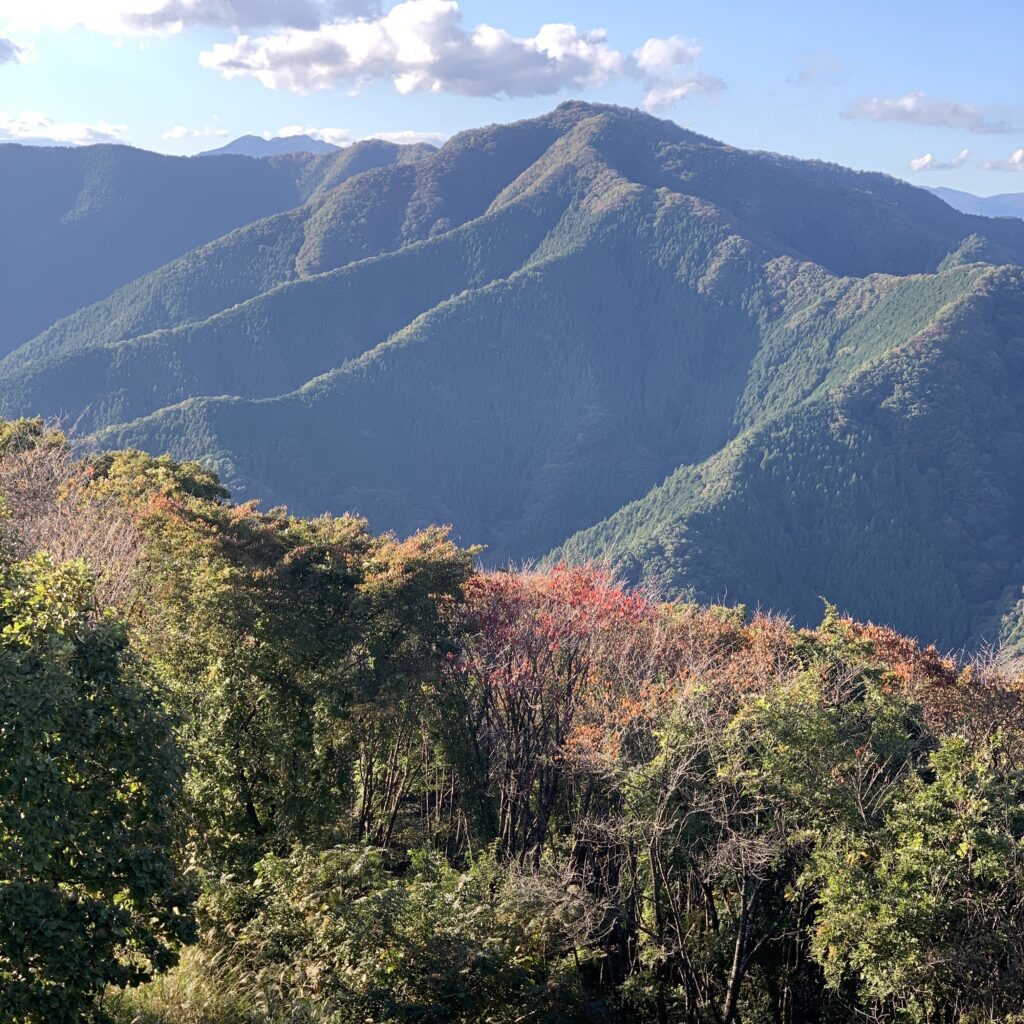 Mount Takao to Mount Jinba hike - mountain views