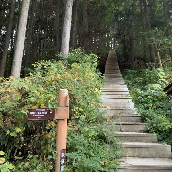 Mount Takao to Mount Jinba hike - return