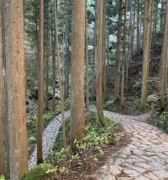 Hiking Nakasendo Trail cobblestone path