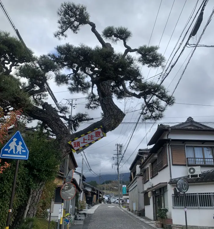 Nakasendo trail - Ochiai-Juku road