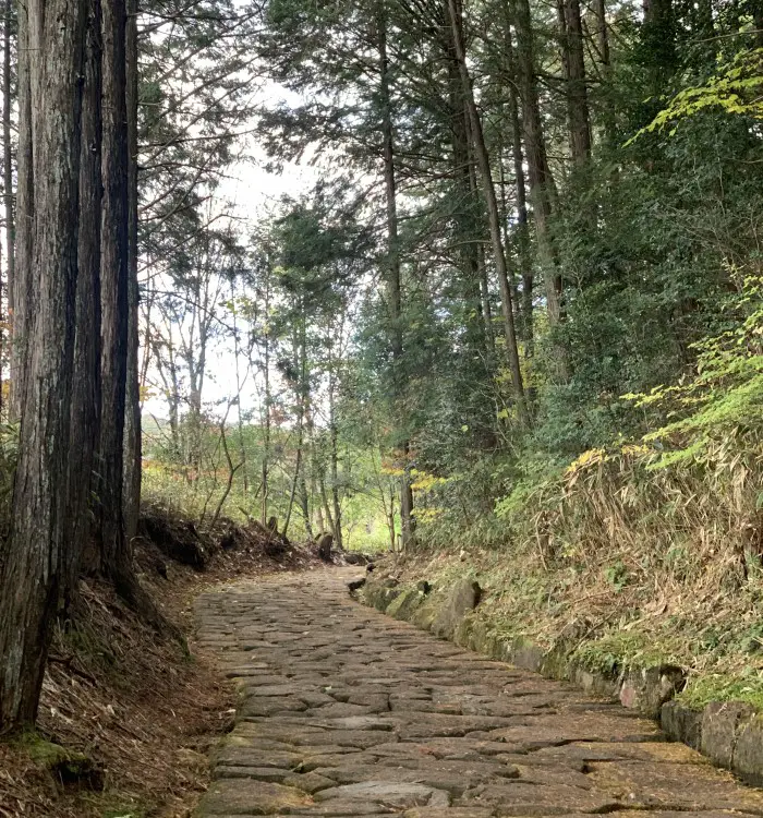 Ochiai-Juku stone path