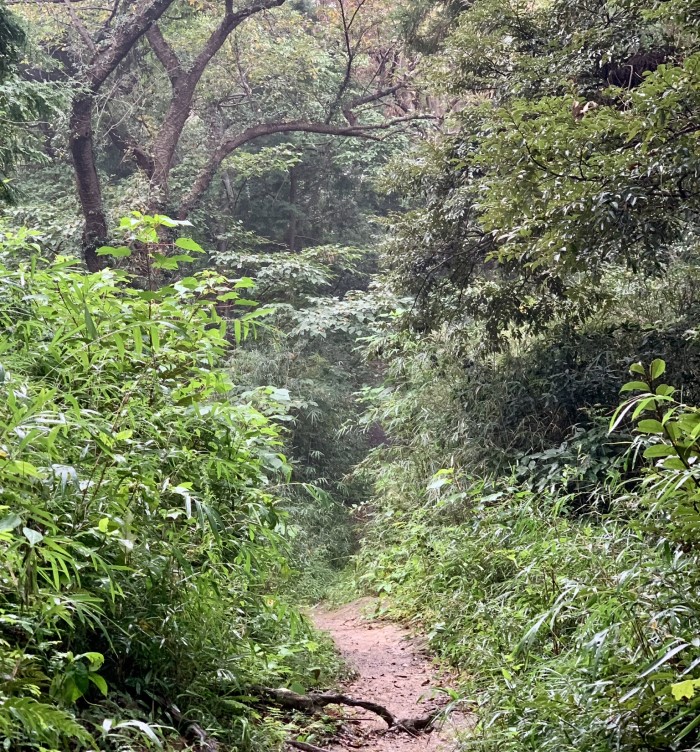 Kamakura hiking trail