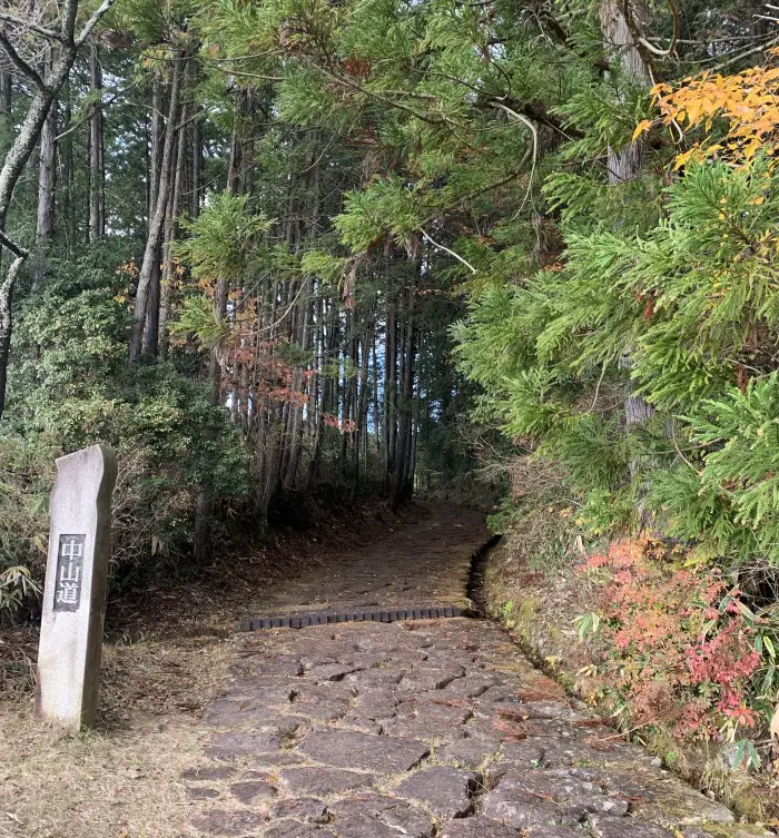 Nakasendo stone path