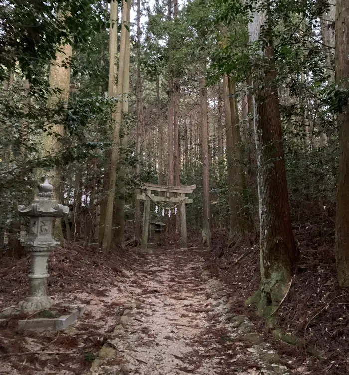 Nakasendo trail - torii