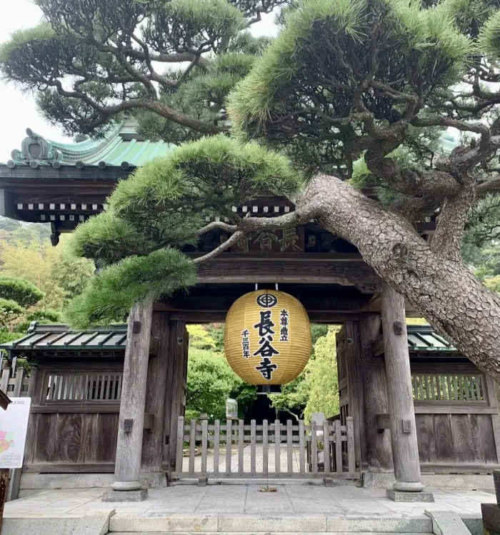 One-Day Itinerary in Kamakura - Hasedera temple