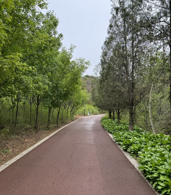 Great Wall Jinshanling asphalt path