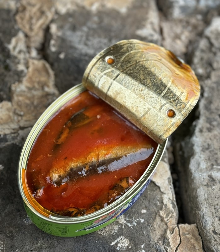 can of mackerel