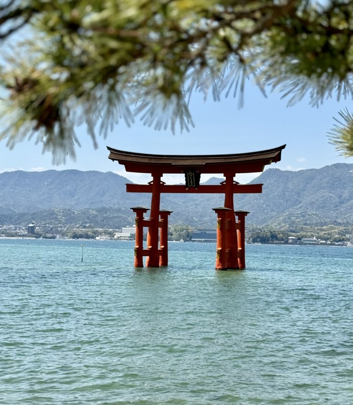 Miyajima Island - Day Trip high tide