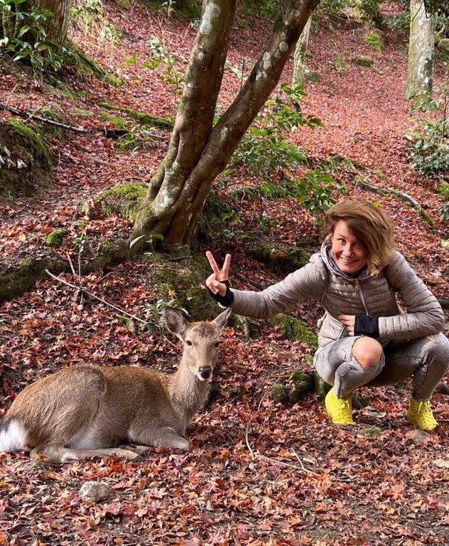 Miyajima Island - deer and autumn leaves