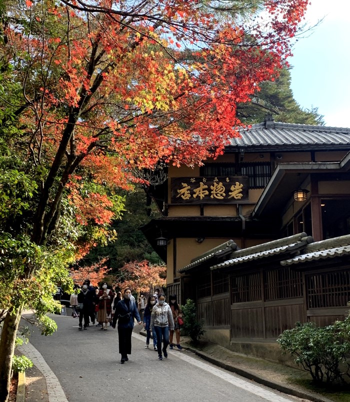 Miyajima Island - momiji