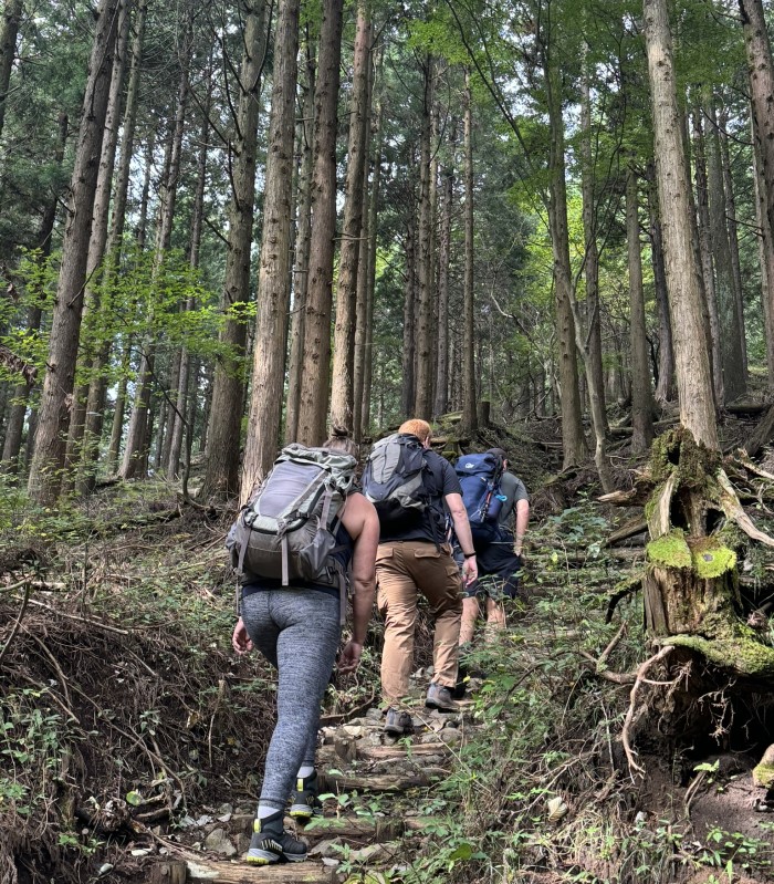 Mount Tanzawa hike forest trail