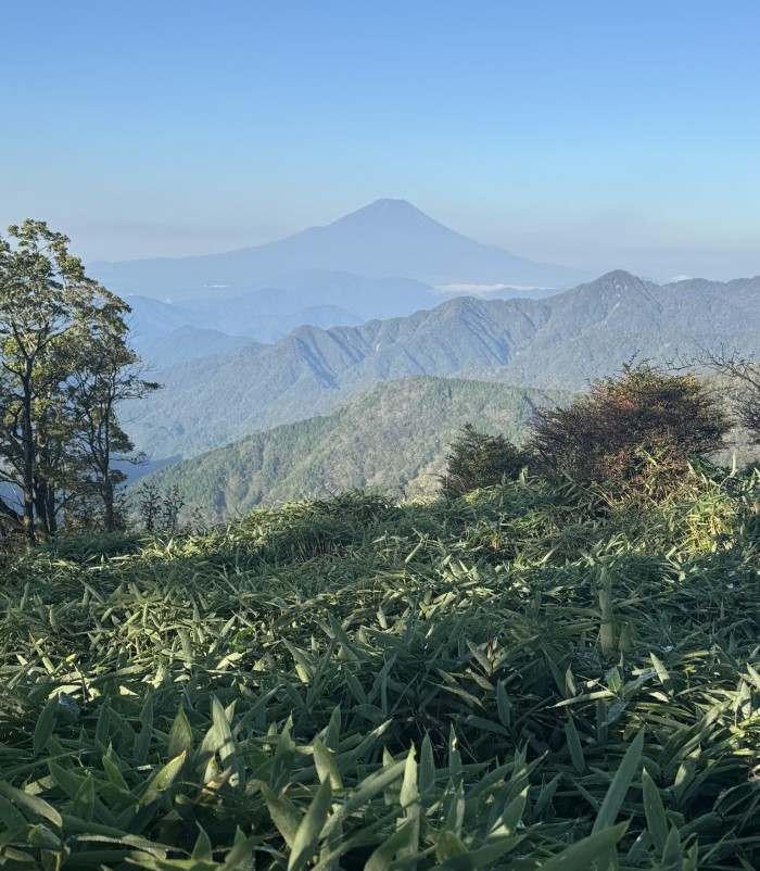 Mount Tanzawa hike from Yabitsu Pass - Mount Fuji view