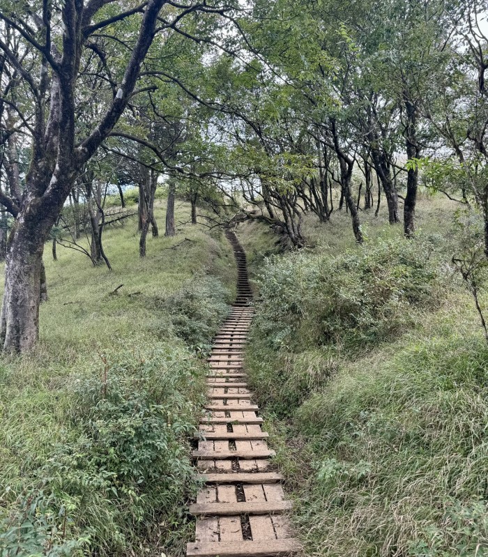 Mount Tanzawa hike from Yabitsu Pass trail