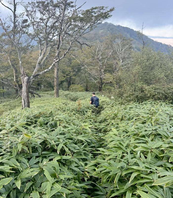 from Mount Tonodake to Mount Tanzawa